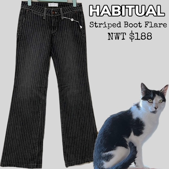 NWT $188 Habitual | Pinstripe Bootcut Flare Jeans - Picture 2 of 11
